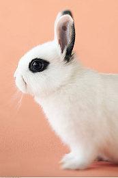 国产恐怖游戏《暗夜长梦》PC版11月30日发行